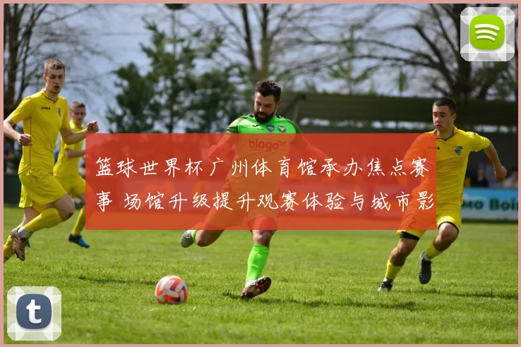 篮球世界杯广州体育馆承办焦点赛事 场馆升级提升观赛体验与城市影响